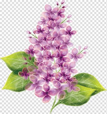 Purple Watercolor painting, Exquisite plant design transparent background PNG clipart