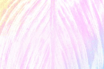Purplish pink leaf textured light blue background | Free  illustration - 2344833