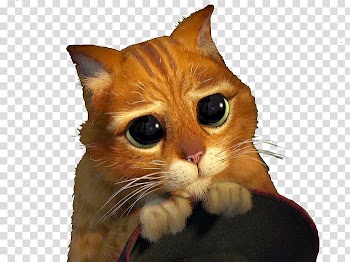 Puss in Boots Shrek Film Series Animated film DreamWorks Animation, others transparent background PNG clipart