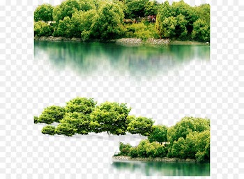 Putuo District, Zhoushan Lake Icon - Trees lake 