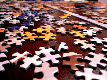 Puzzle_Pieces_9296 (3).JPG