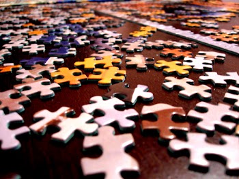 Puzzle_Pieces_9296 (4).JPG