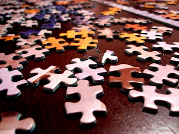 Puzzle_Pieces_9296.JPG