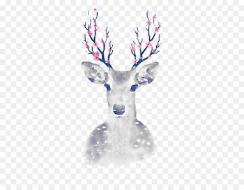 Pxe8re Davids deer Cartoon - White Deer 