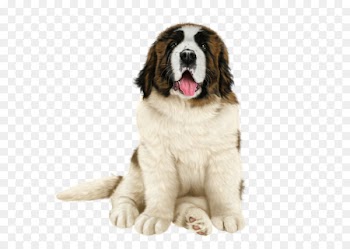Pyrenean Mastiff St. Bernard Dog breed Moscow Watchdog Landseer dog - newfoundland dog 