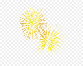 Pyrotechnics Fireworks Firecracker - Fireworks vector material 