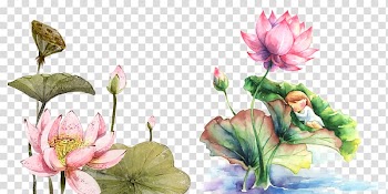 Qiqihar Watercolor painting Drawing Illustration, flowers transparent background PNG clipart