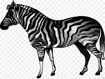 Quagga American Quarter Horse Clip art Stallion Pony - mustang 