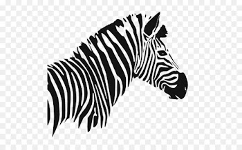 Quagga Zebra Image Zebre Rugby Club Graphics - bandeau border 