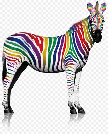Quagga Zebra Lacquer Printing - Color Zebra 
