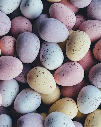 quail eggs
