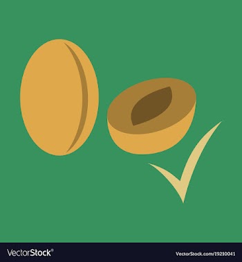 Quality realistic plum plums isolated on vector image