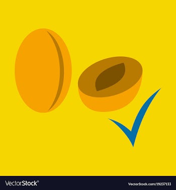 Quality realistic plum plums isolated on vector image