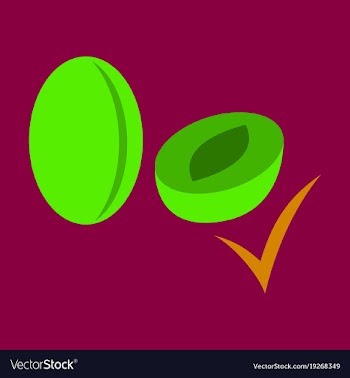 Quality realistic plum plums isolated on vector image