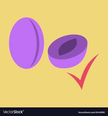 Quality realistic plum plums isolated on vector image