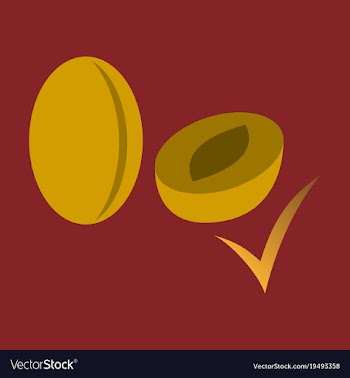 Quality realistic plum plums isolated on vector image