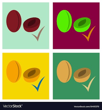 Quality realistic plum plums isolated on vector image