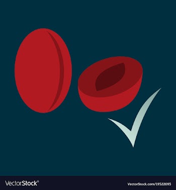 Quality realistic plum plums isolated on vector image