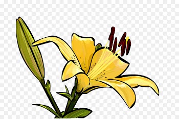 Quanzhou Floral design Flower Sanming Hot Spring Park - azalea icon 