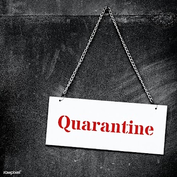 Quarantine during the coronavirus pandemic social banner  | Free  photo - 2327900