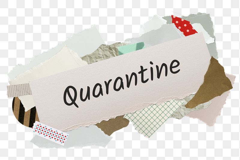 Quarantine png word sticker, aesthetic | Free PNG - rawpixel