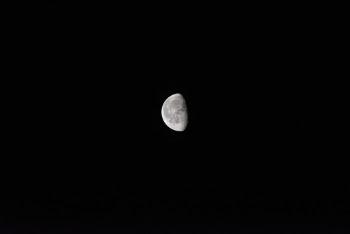 Quarter Moon