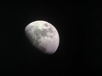Quarter Moon