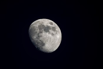 quarter moon in night sky