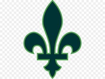 Quebec City Vector graphics Fleur-de-lis Flag of Quebec Illustration - green card logos 