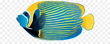 Queen angelfish Emperor angelfish Pterophyllum altum Clip art - Emperor Angelfish PNG Transparent Clip Art Image 