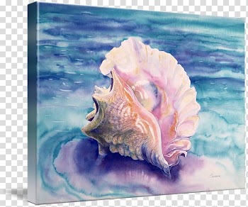 Queen conch Watercolor painting Seashell, conch transparent background PNG clipart
