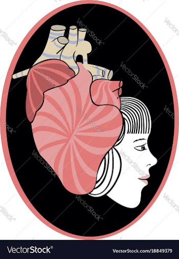 Queen of hearts vector image