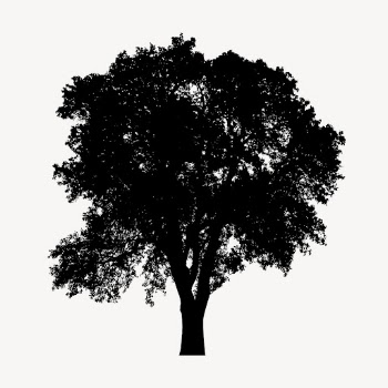 Quercus suber tree silhouette collage | Free PSD - rawpixel
