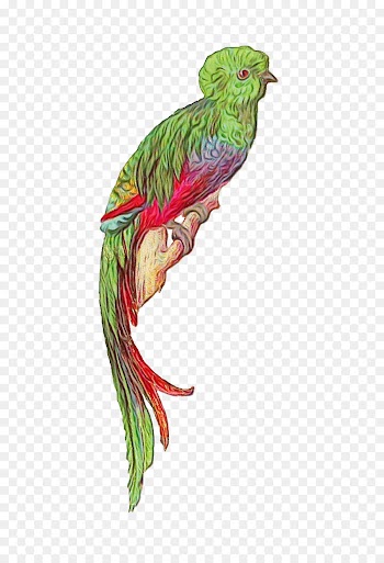 quetzal bird beak fictional character
