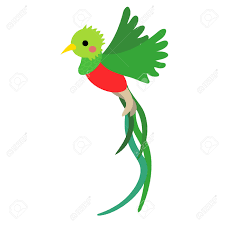 Quetzal dibujo png » PNG Image