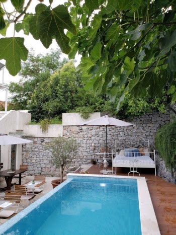Quiet green and blue poolside in a private hotel.