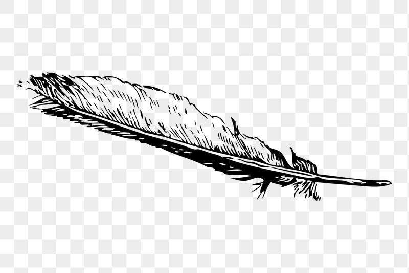 Quill pen png sticker illustration, | Free PNG - rawpixel