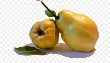 Quince dessert Fruit Habanero Pear - It looks like avocado pears 