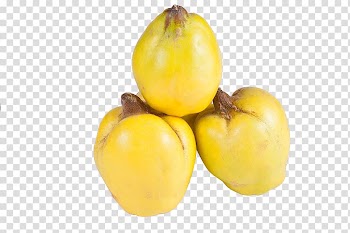 Quince fruit Pome Fruit tree Auglis, Papaya fruit Bohm transparent background PNG clipart