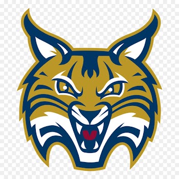 Quinnipiac University Quinnipiac Bobcats men's basketball Quinnipiac Bobcats baseball Quinnipiac Bobcats women's basketball Quinnipiac Bobcats men's ice hockey - basketball 