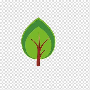 Quiver tree, tree transparent background PNG clipart