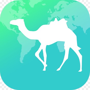 Qunar Travel Tourism Mobile app Train - backhaul infographic 