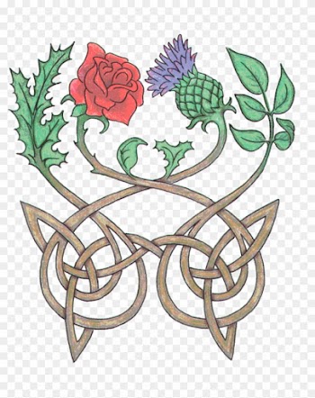 "and From His Grave Grew A Red, Red Rose - Thistle And The Rose