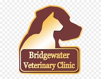 "caring For Pets And The People Who Love Them Since - "caring For Pets And The People Who Love Them Since
