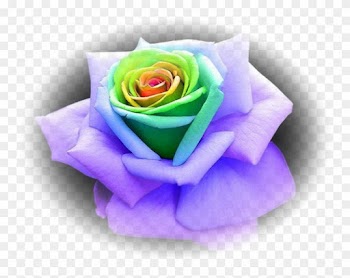 "energy" Chochmah Supernal Father - Most Beautiful And Rare Roses
