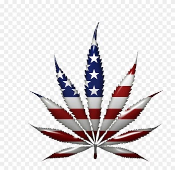 "local And State Authorities In Texas Spent An Estimated - Pot Leaf American Flag