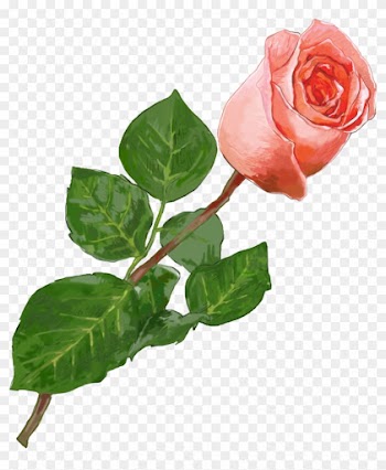 "love Yourself And All You Do" - Garden Roses
