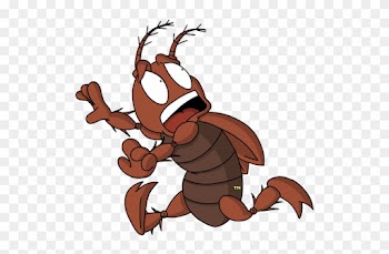 "natural Flea Control Out Kills Toxic Chemicals - Tropics
