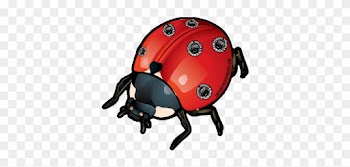 "new" The Food Syndicate Lady Bird Sticker - Food