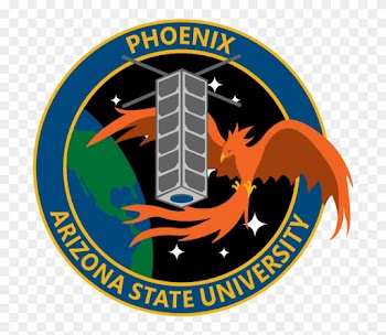 "phoenix" Mission Patch - Indian Homeopathic Medical Association